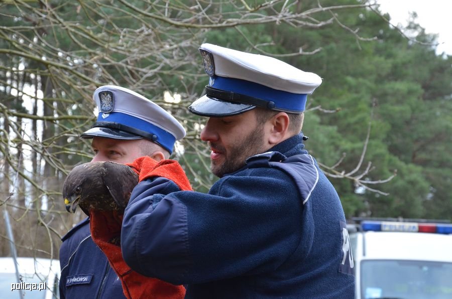 KW Policji w Gdańsku